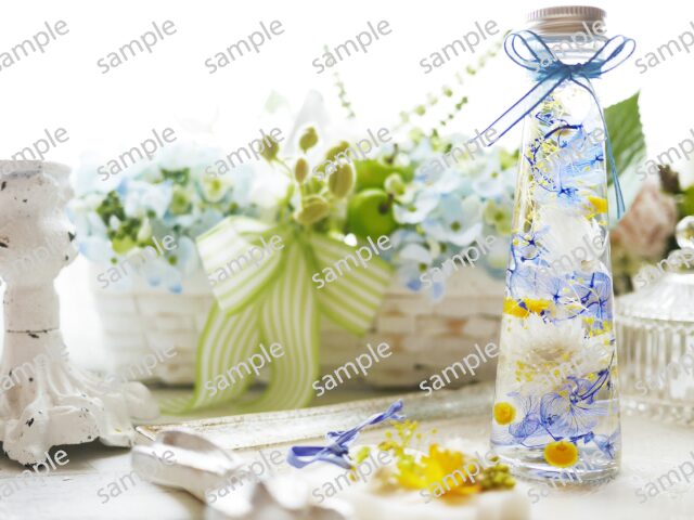 f860ce441250cf5237cbad4b61434e25
